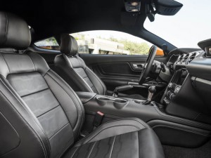 a mustang